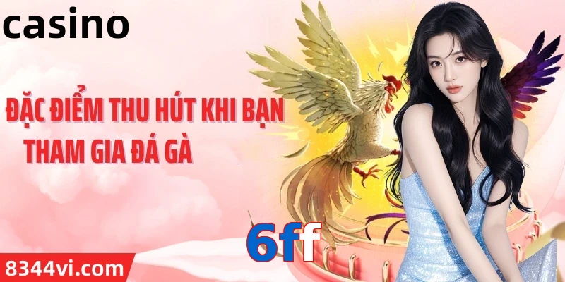 6ff